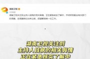 娱乐圈吃瓜帖子是什么,揭秘明星背后的故事